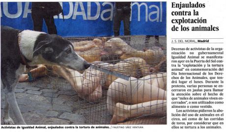Repercusión Día Int. de los Derechos Animales 2007 - El País