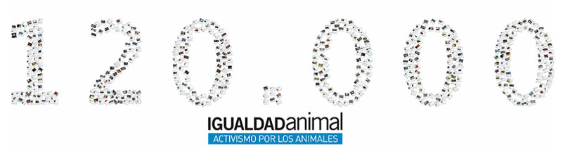 Igualdad Animal alcanza los  fans en Facebook! | Igualdad Animal