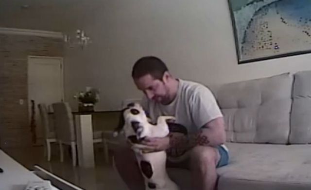 Oculta una cámara y descubre que su novio maltrata a sus perros | Igualdad  Animal