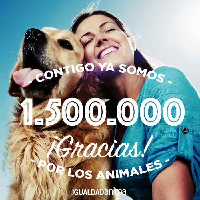 Igualdad Animal supera el millón y medio de fans en Facebook | Igualdad  Animal