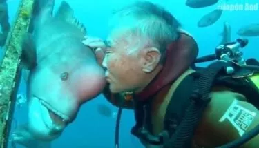 La hermosa amistad entre un pez y el hombre que salvó su vida 1