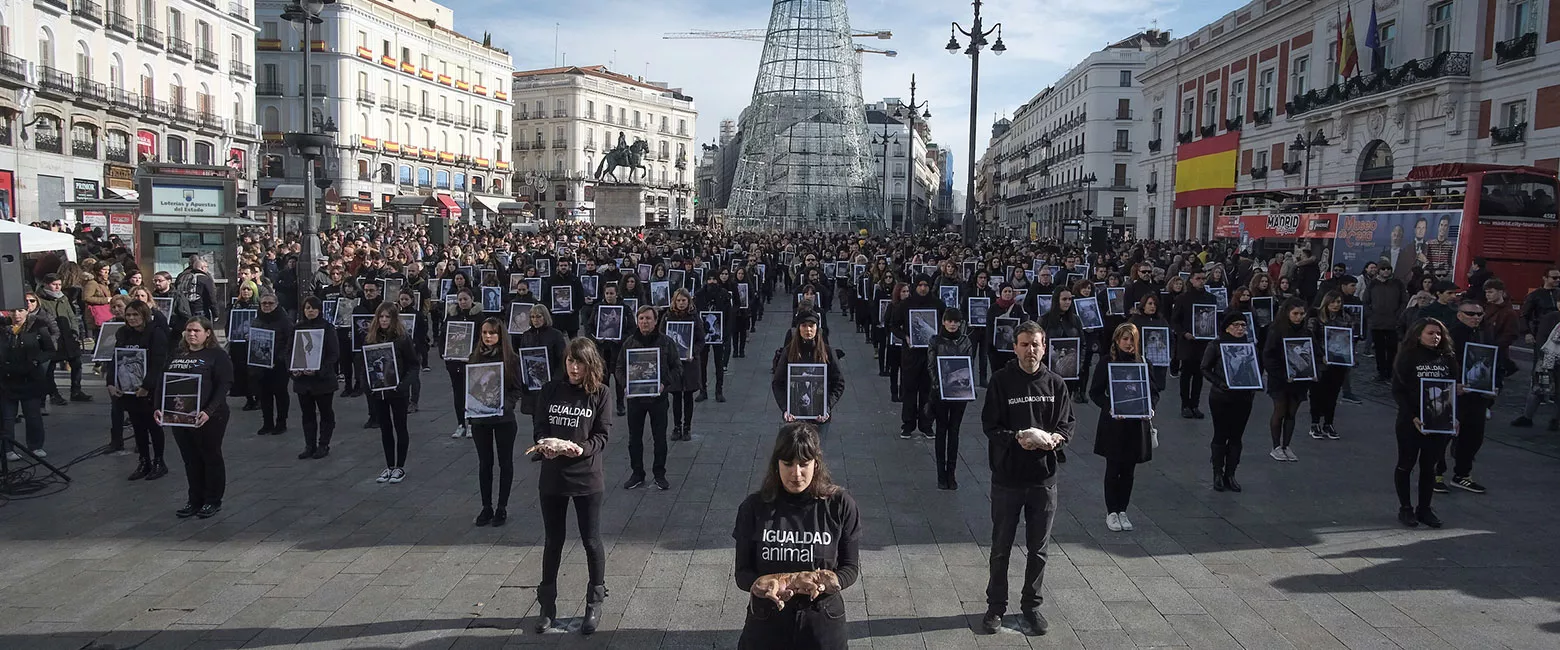 500 activistas muestran a las víctimas de la ganadería en el Día de los Derechos Animales.