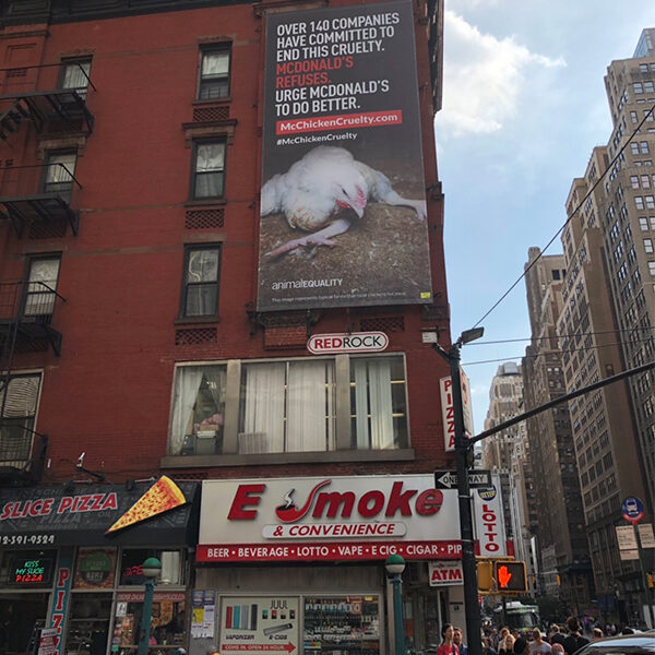 logo Animal Equality