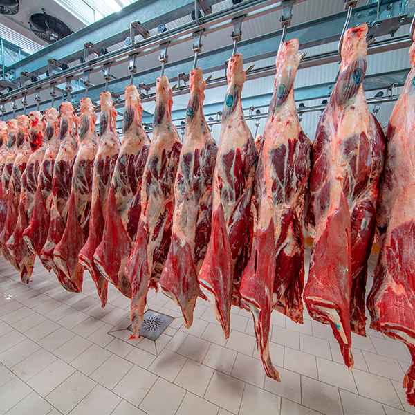 Carne roja, looby carne, científicos