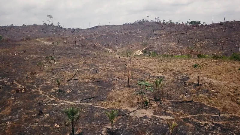 Imagen aérea con dron del Amazonas quemado para el cultivo de soja