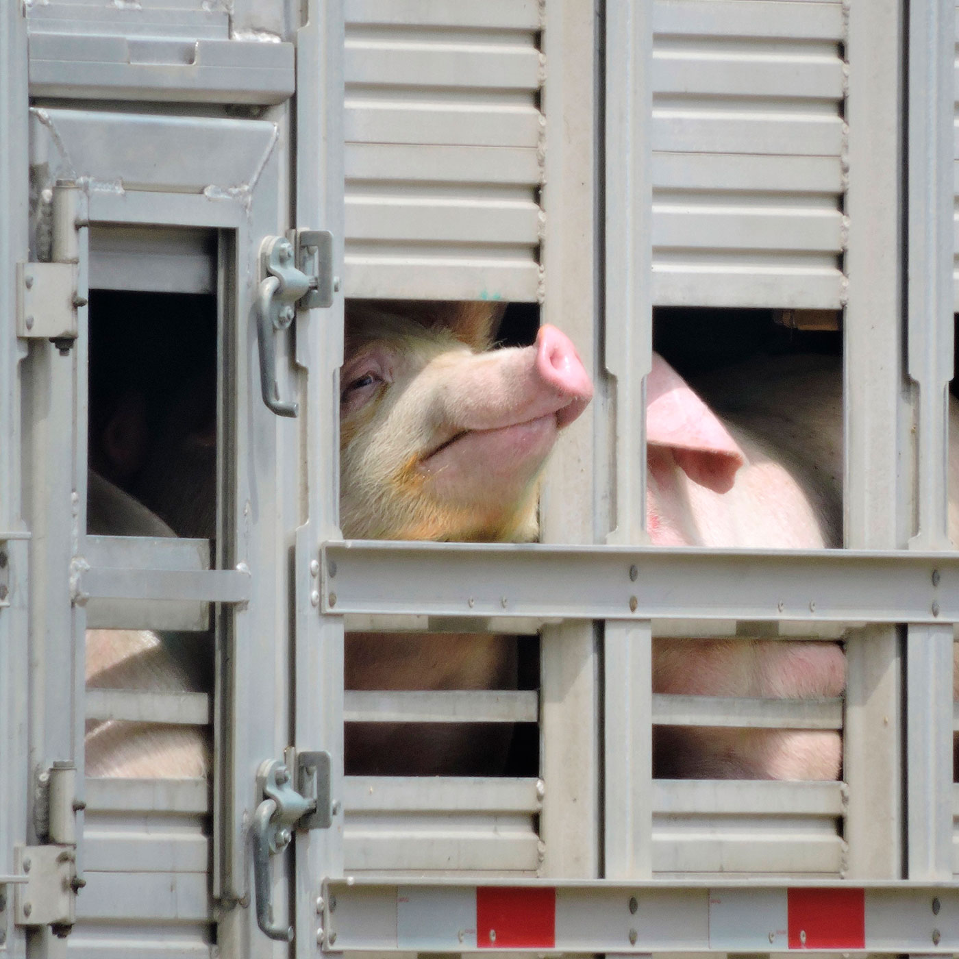 Intelligent pigs. Intelligent pigs. Pig pipeline inspection gauge. Pipeline inspection gauge. Pipeline inspection gauge.