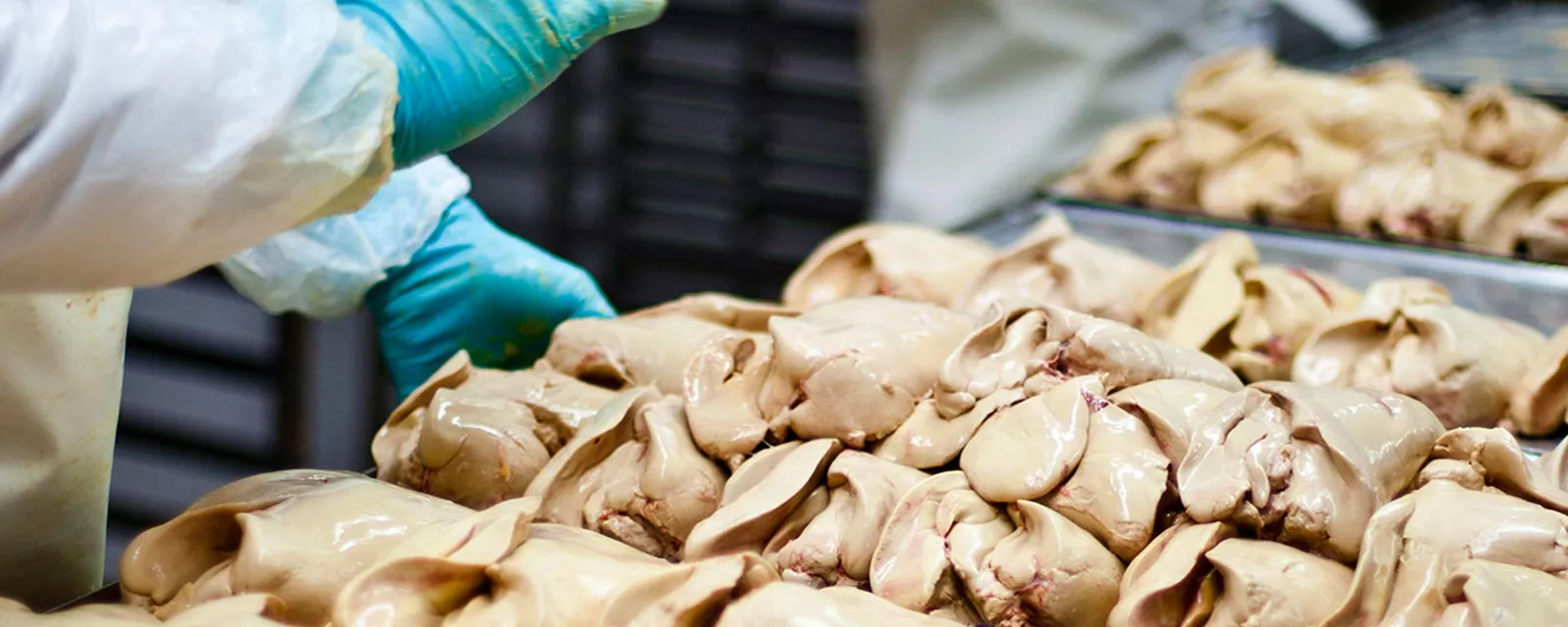 La empresa gipuzcoana Patés Zubía detecta la presencia de Listeria en varios lotes de foie gras