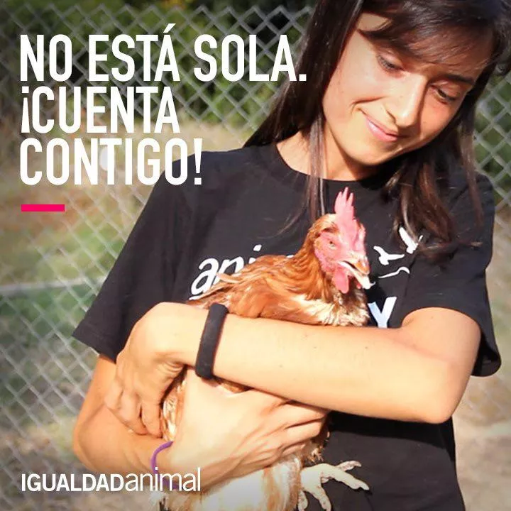 Chica sostiene a una gallina en sus brazos y la mira con cariño. En la imagen hay un texto que dice  No Está Sola, ¡Cuenta Contigo!