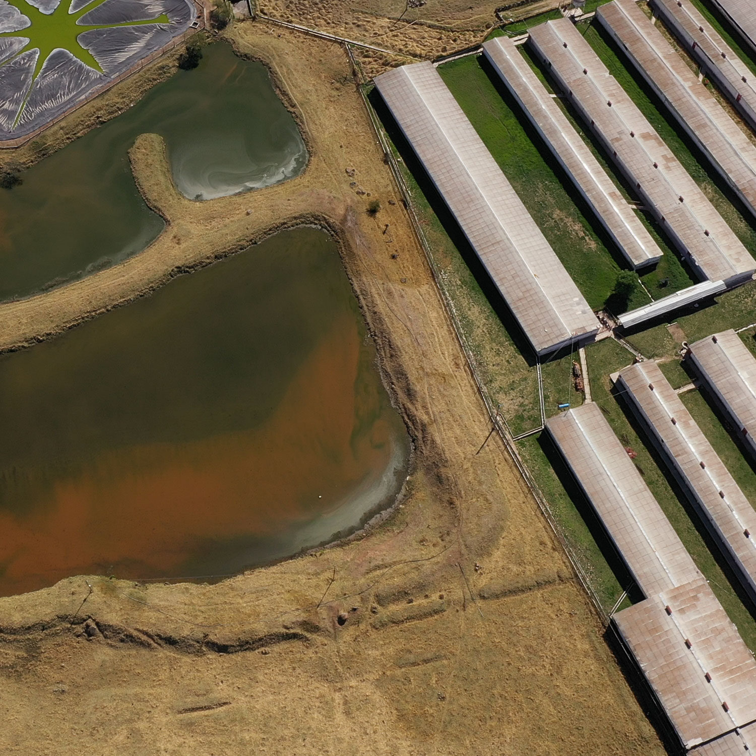 Ariel view of sewage lagoon on pig farm