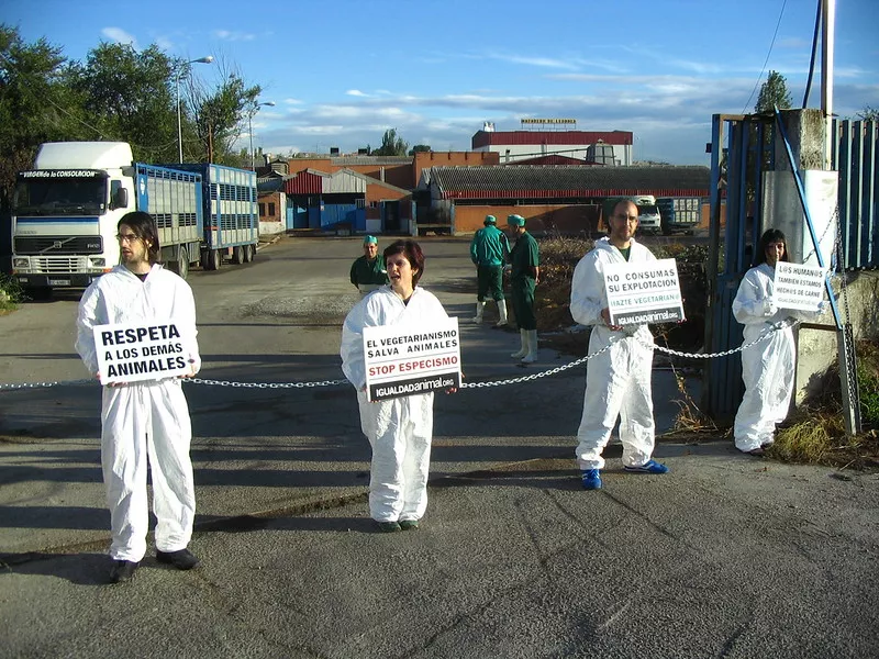 Sharon Núñez, Javier Moreno fundadores de Igualdad Animal junto con activistas de Igualdad Animal se encadenan en la entrada de un matadero con carteles que piden el respeto hacia los animales