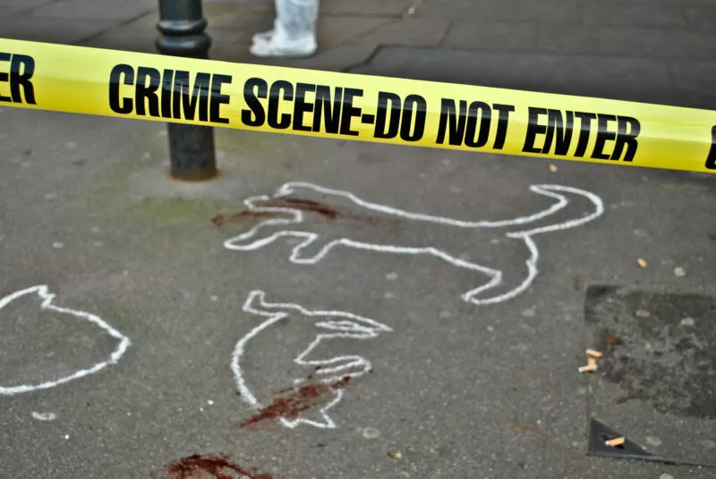 En la calle se simula una escena del crimen con una cinta amarilla que dice CRIME SCENE DO NOT ENTER en el suelo hay dibujadas siluetas con líneas blancas de siluetas de animales