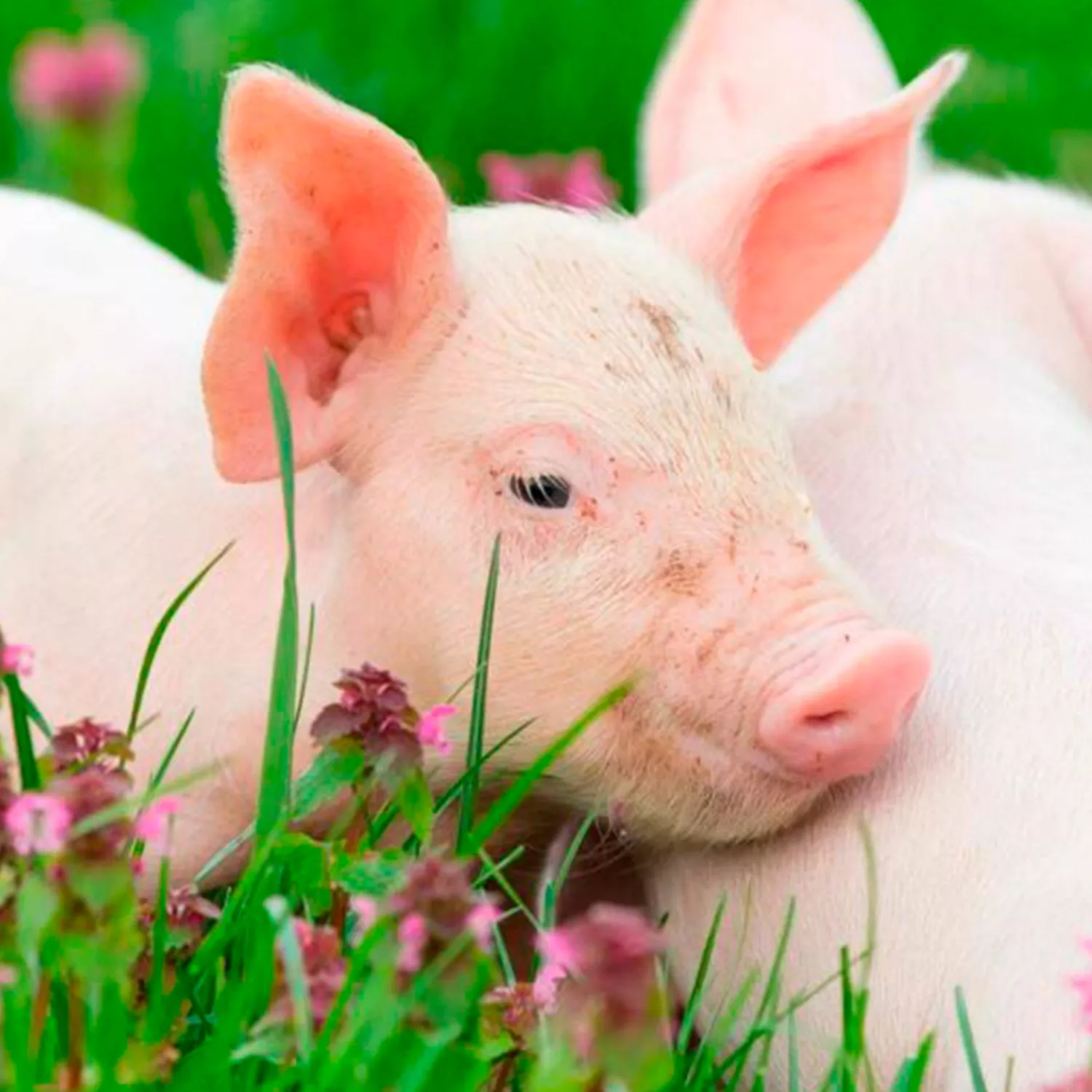 Tu impacto traspasa fronteras