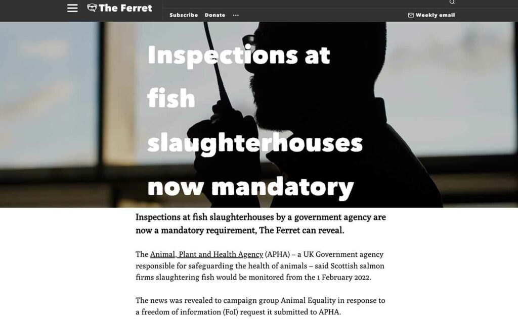 El gobierno escocés ha introducido inspecciones obligatorias en los mataderos de salmón a raíz de nuestra investigación en un matadero operado por The Scottish Salmon Company.