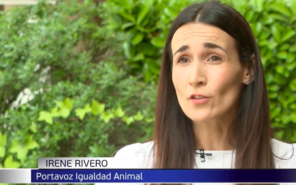 La portavoz de Igualdad Animal, Irene Rivero, hablando de la cruel realidad que hay detrás del foie gras en Informativos Telecinco.
