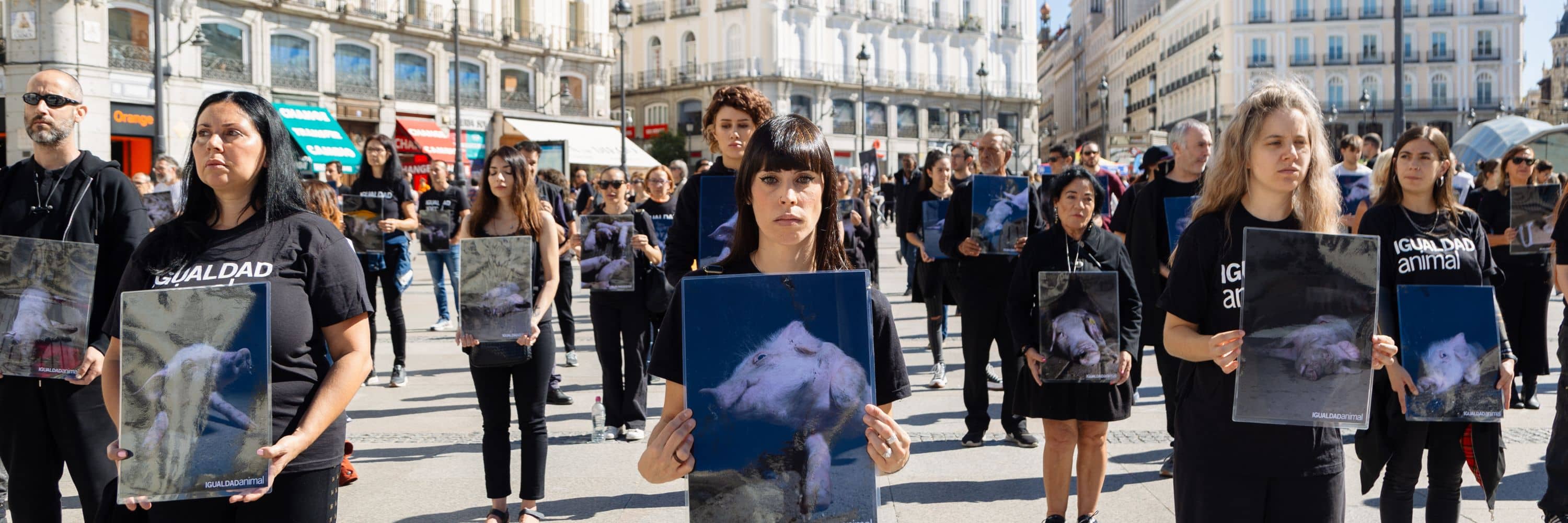 Activistas ante la Puerta del Sol en Madrid protesta contra la crueldad de las granjas porcinas.