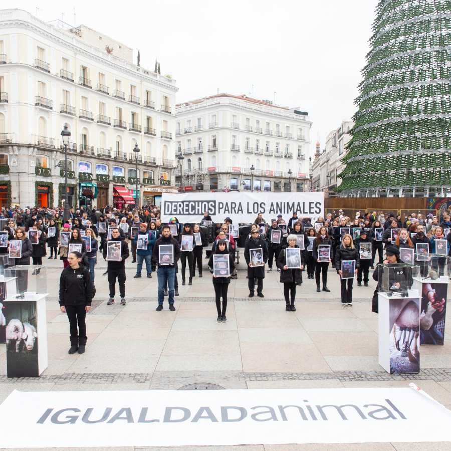 Activistas en Madrid en el Día Internacional de los derechos de los animales