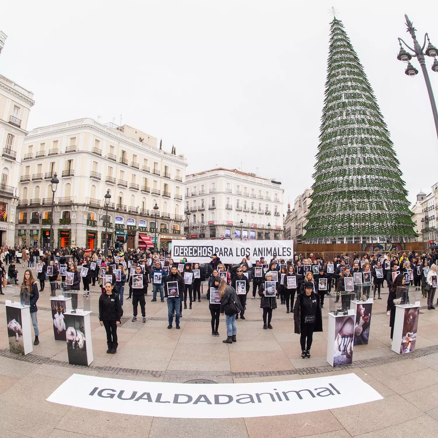 Día derechos animales protesta en Madrid.