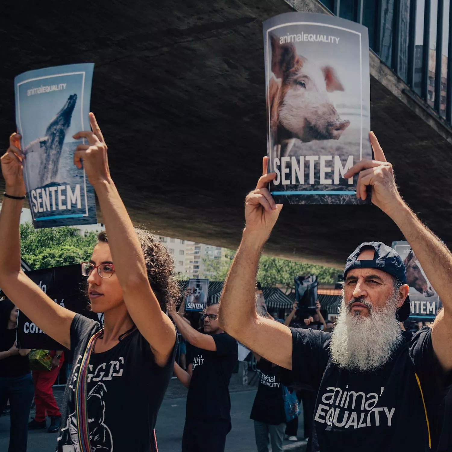 Día derechos animales Sao Paulo
