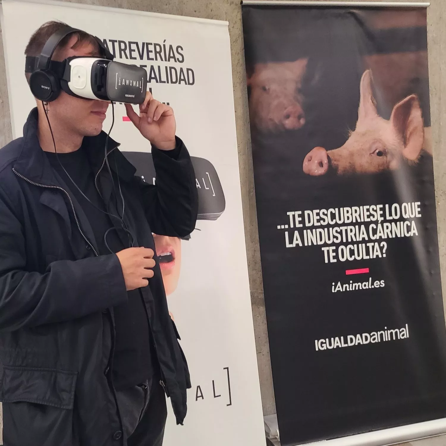 Hombre utiliza la realidad virtual de IAnimal