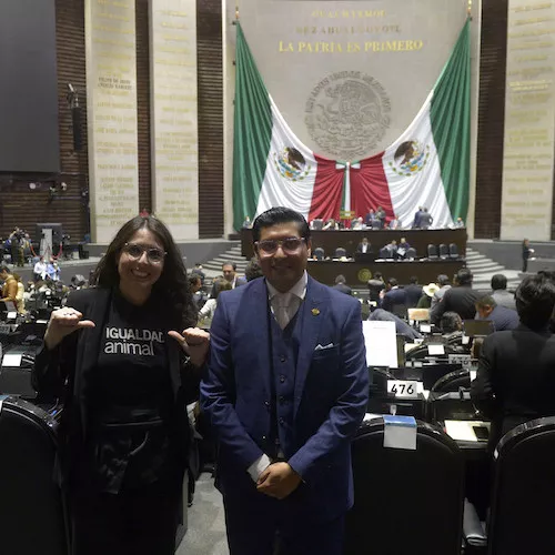 Igualdad Animal en el Congreso de México.