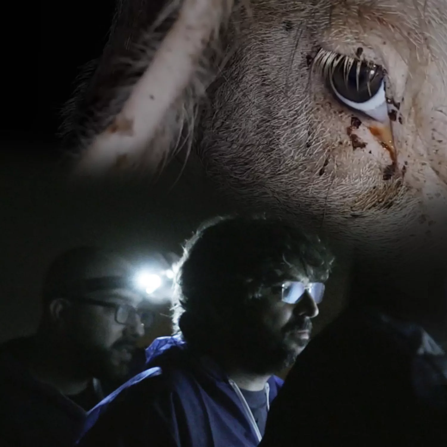 Fotograma programa Salvados con Igualdad Animal