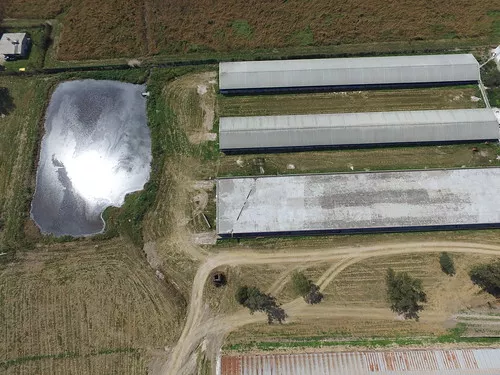 Imagen de dron de impacto medioambiental de una granja intensiva en México. Fotos de investigación de Igualdad Animal. 