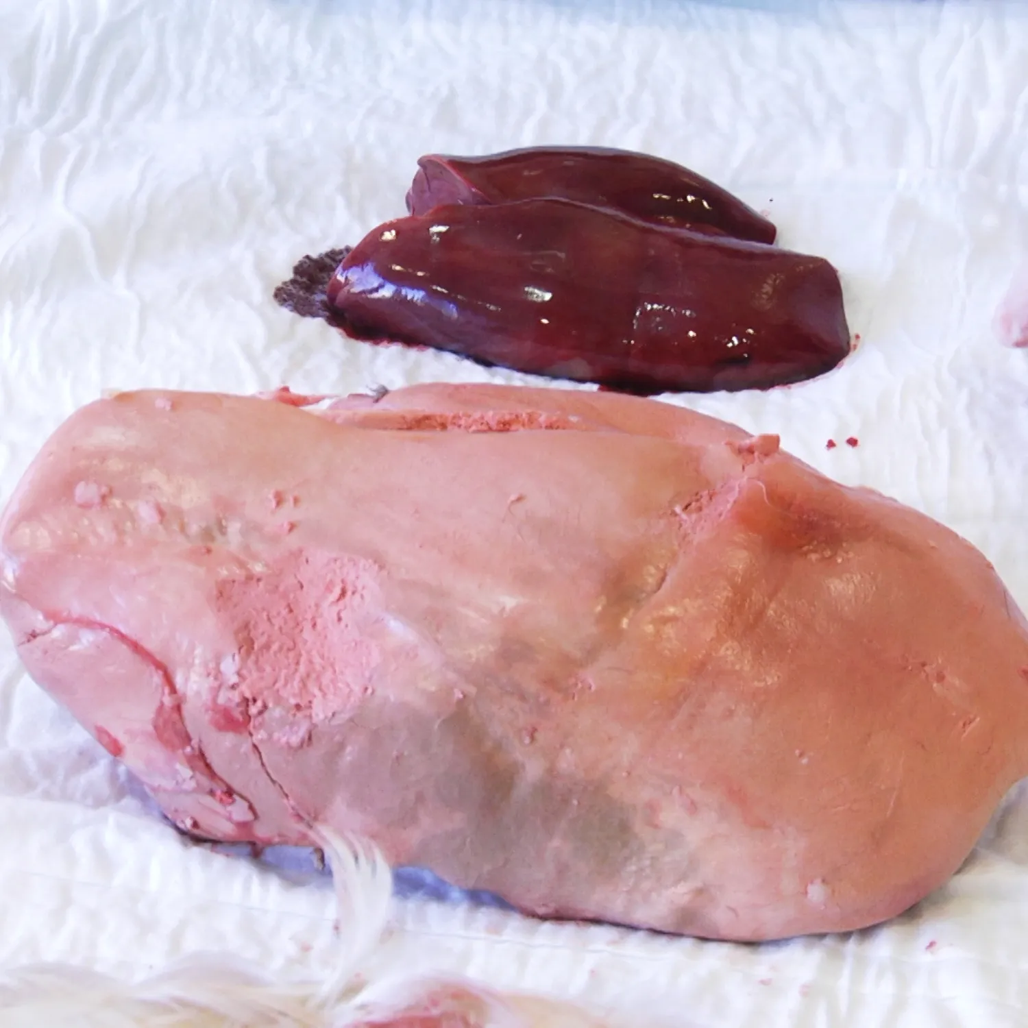 Comparativa entre un higado sano de pato y uno con esteatosis