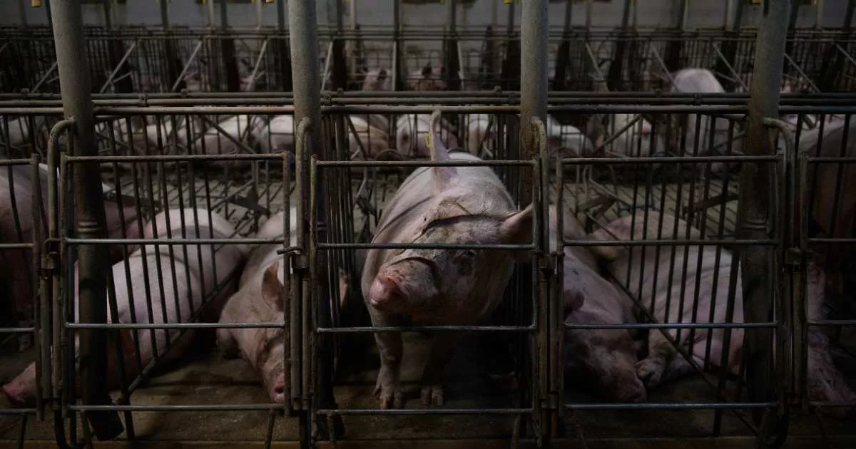 ¡Dile a la UE lo que piensas! 3