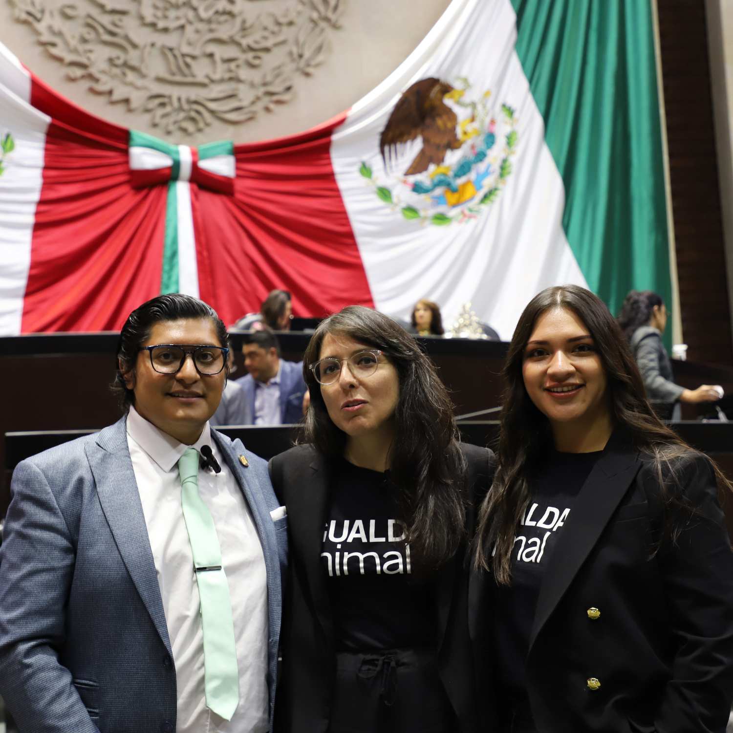 Cámara de Diputados México