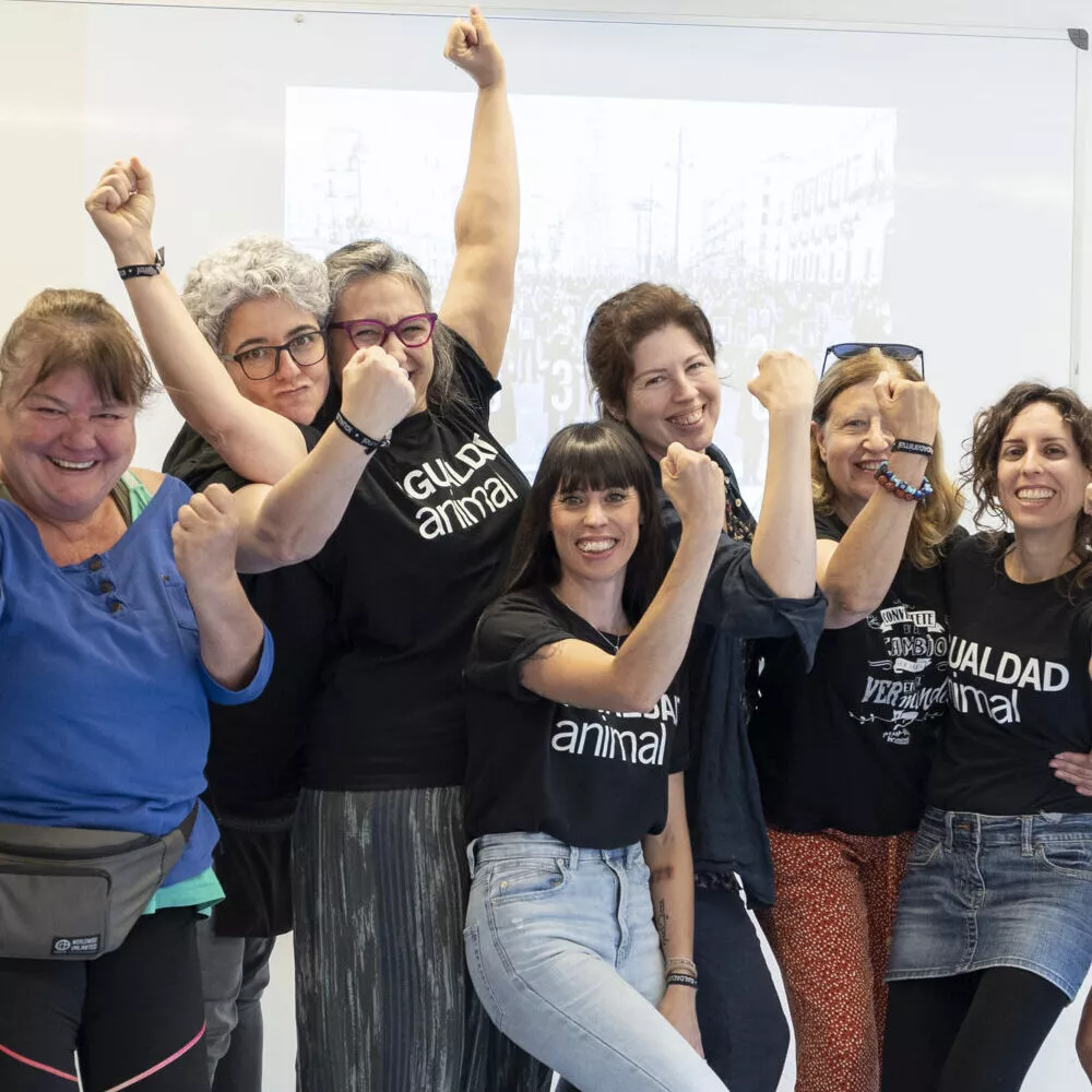 Voluntarios y voluntarias de Barcelona en una charla de activismo alzando los brazos de forma positiva.