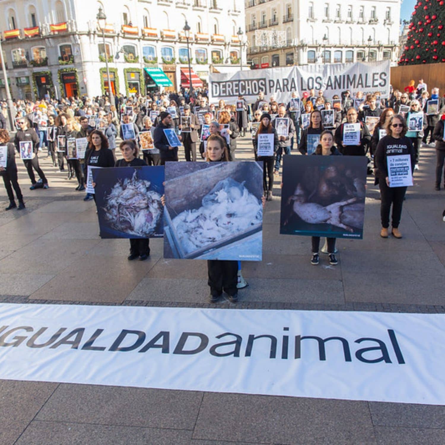 Activistas en la Puerta del Sol en Madrid durante el Día de los Derechos Animales