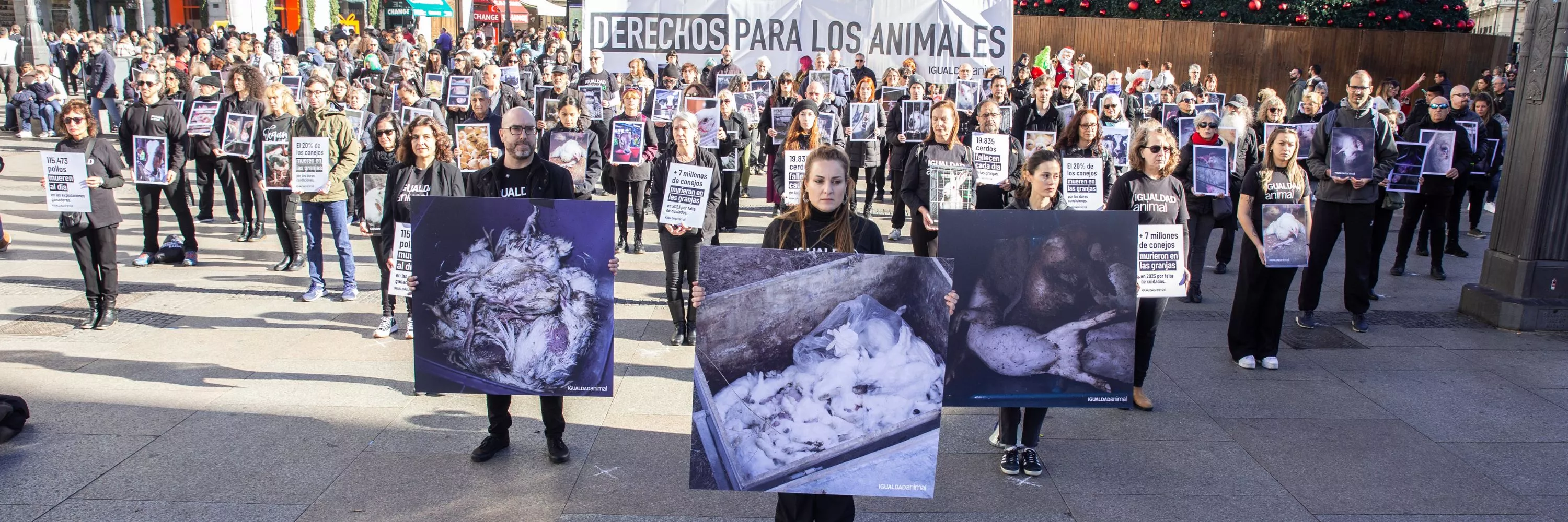 DÍA DE LOS DERECHOS DE LOS ANIMALES 2025 1