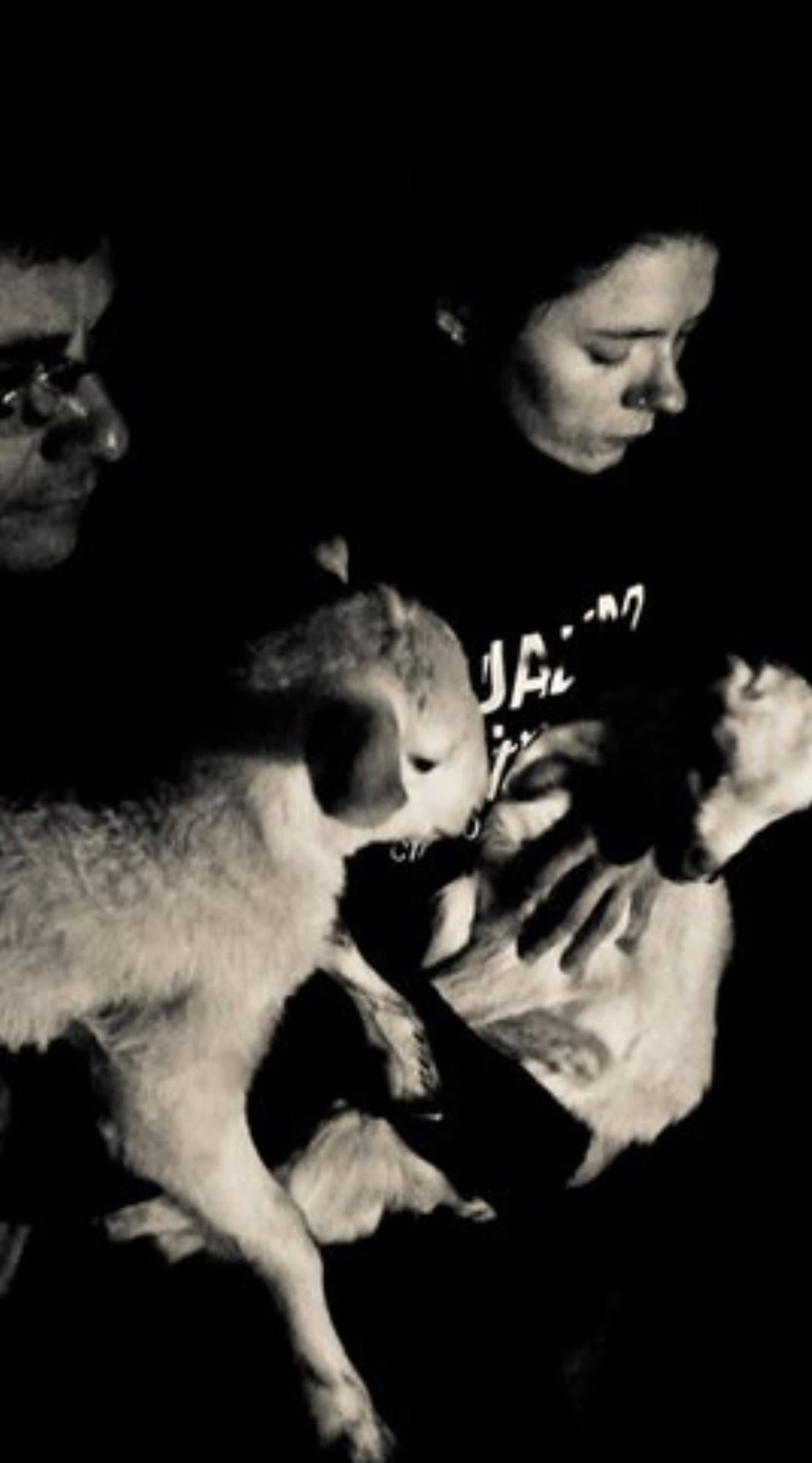 Dos activistas de Igualdad Animal con un cordero blanco en brazos cada uno, durante un rescate abierto.