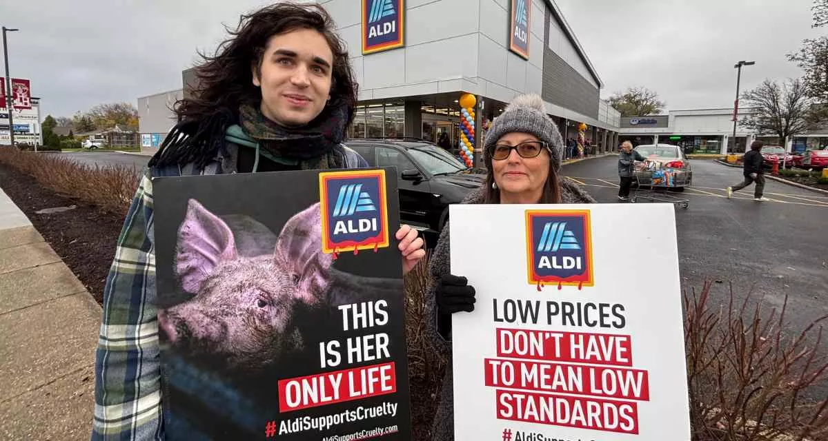 Activistas en supermercados Aldi en Estados Unidos