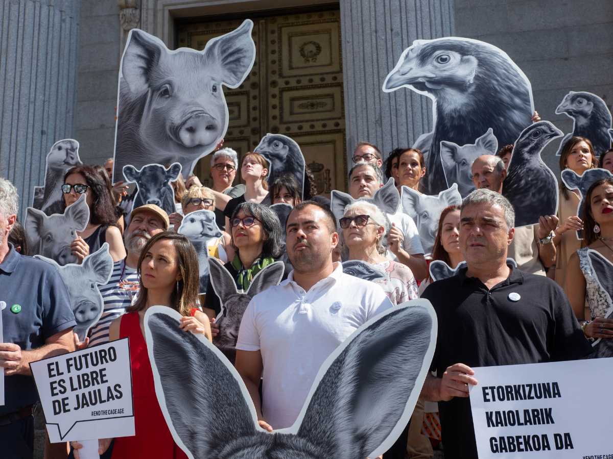 diputados y representantes políticos apoyan la el acto frente al Congreso por el fin de las jaulas.