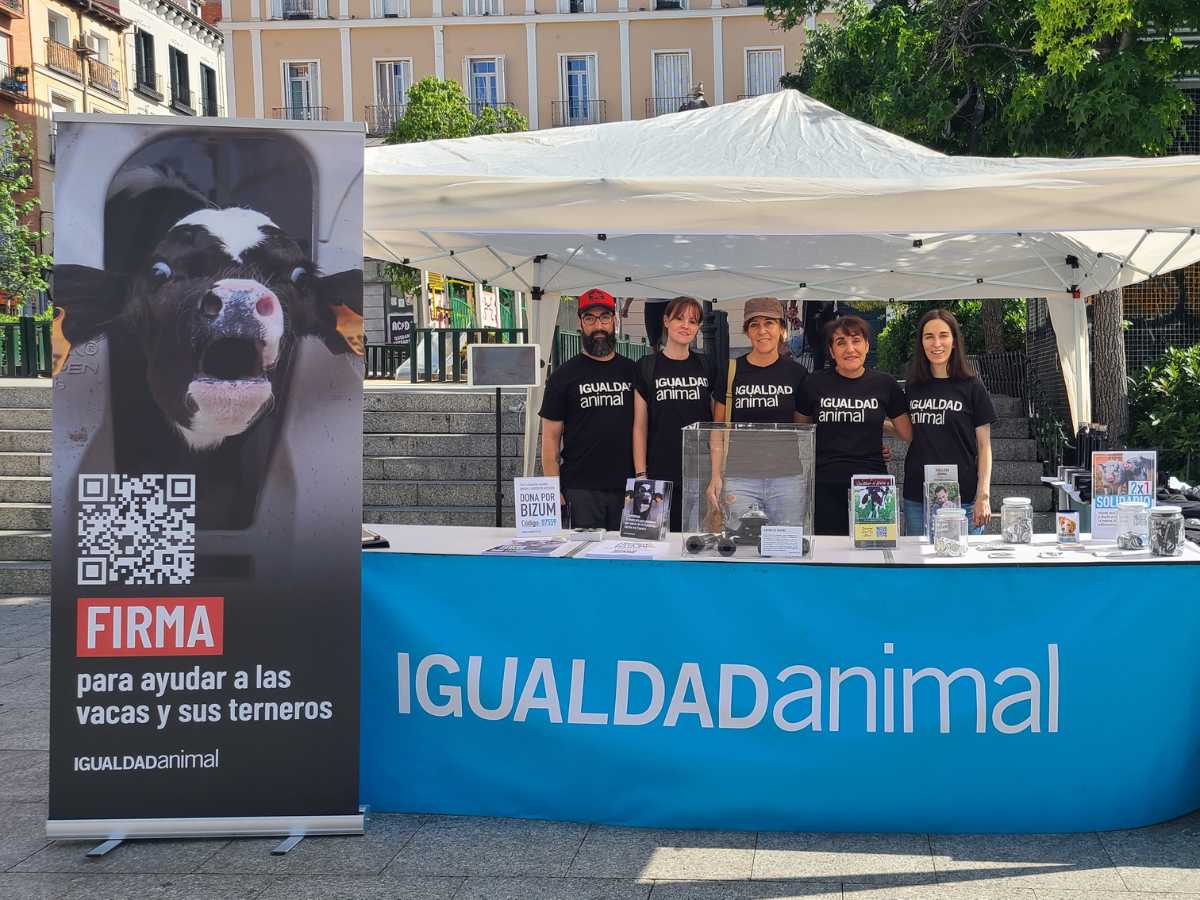 Grupo de voluntarias tras la mesa informativa de Igualdad Animal