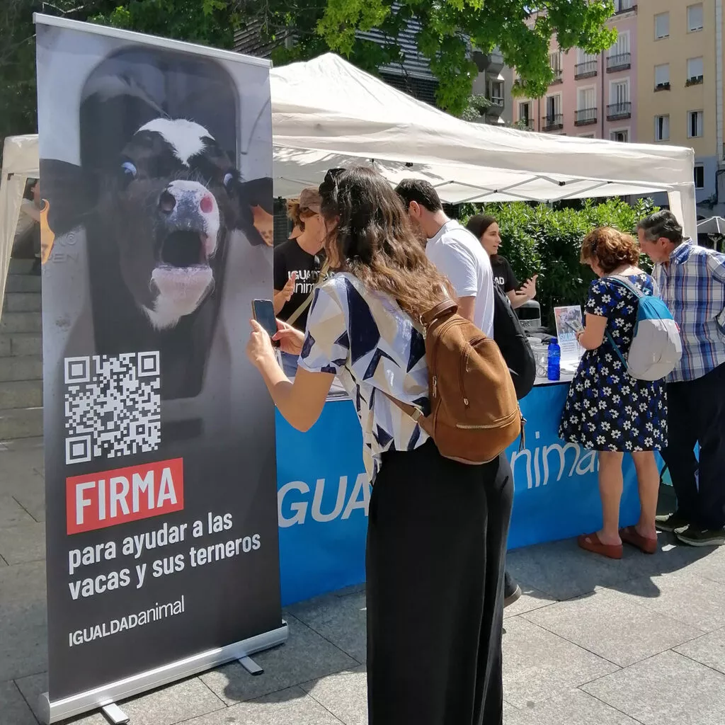 Varias personas miran la mesa informativa de Igualdad Animal
