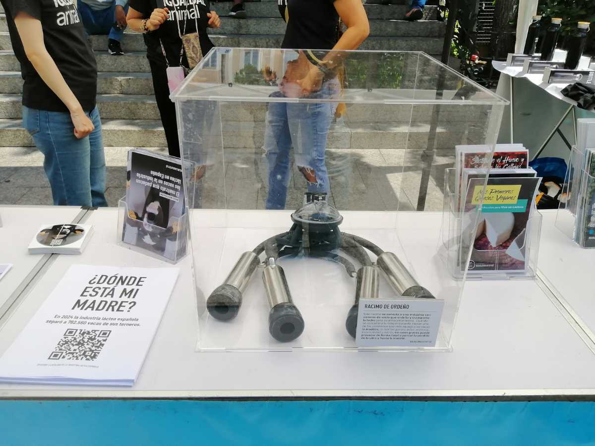 herramienta de ordeño en racimo