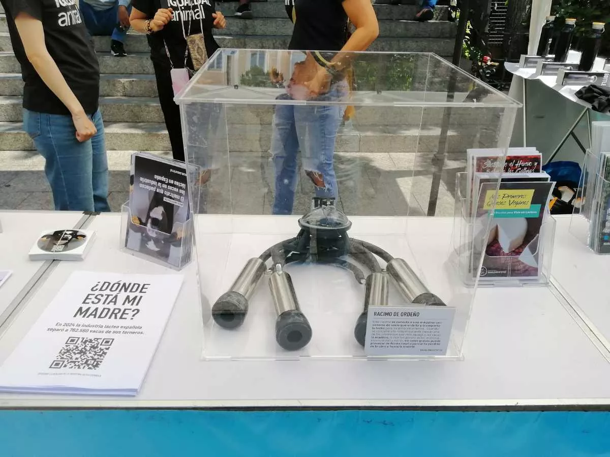 herramienta de ordeño en racimo