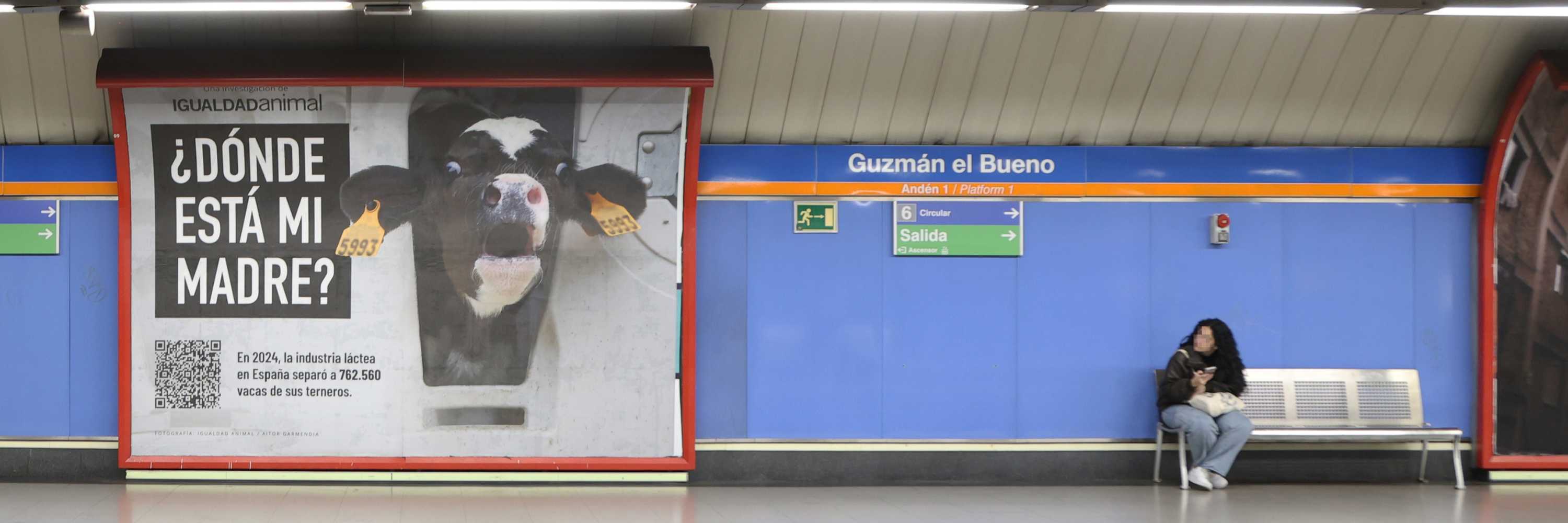 Mujer mira la valla publicitaria en el metro con la campña ¿Donde está mi madre de Igualdad Animal?