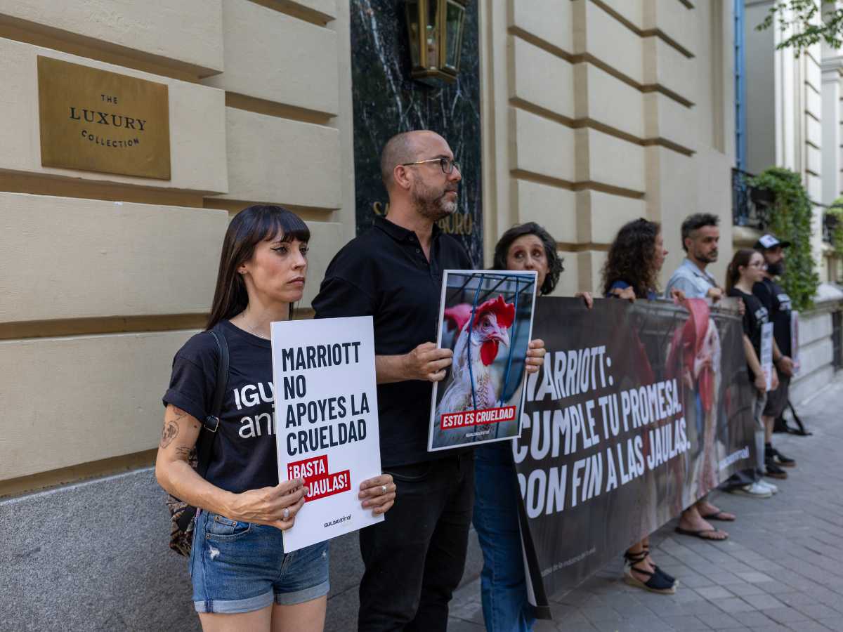 Activistas de Igualdad Animal protestan frente a Marriott hoteles
