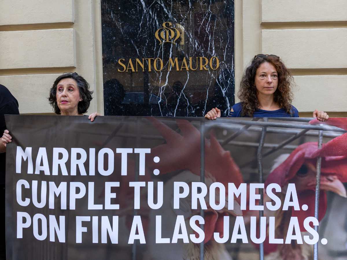 Activistas de Igualdad Animal protestan frente a Marriott hoteles
