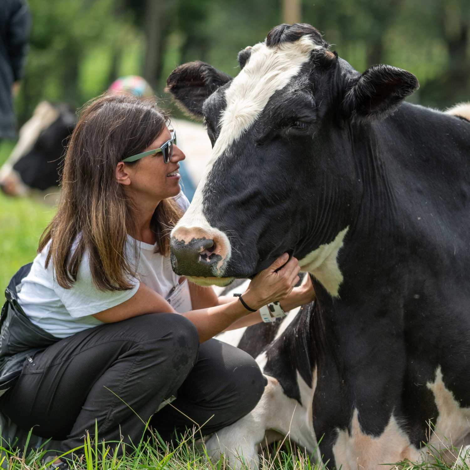Mujer acaricia a una vaca