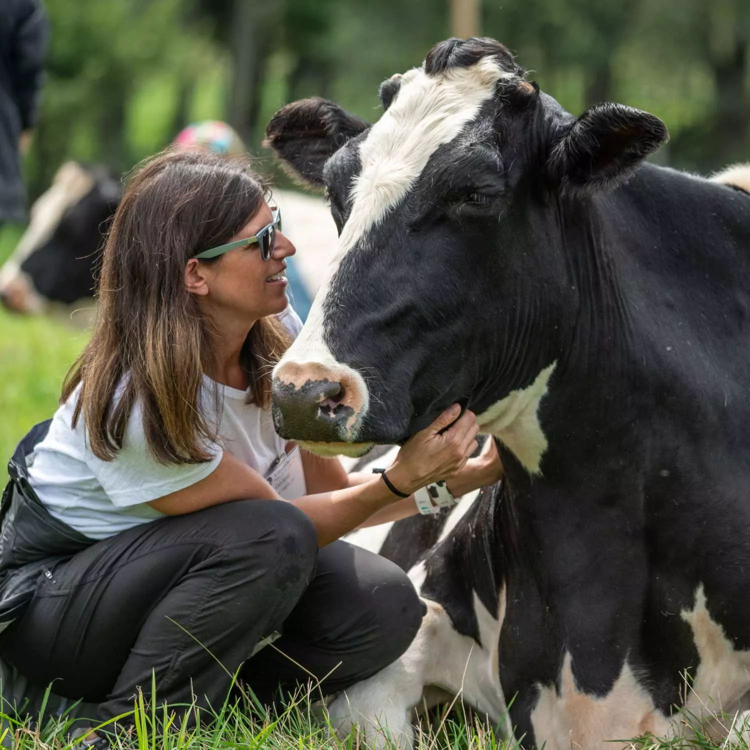 4 de cada 5 españoles reduce o se plantea reducir consumo carne