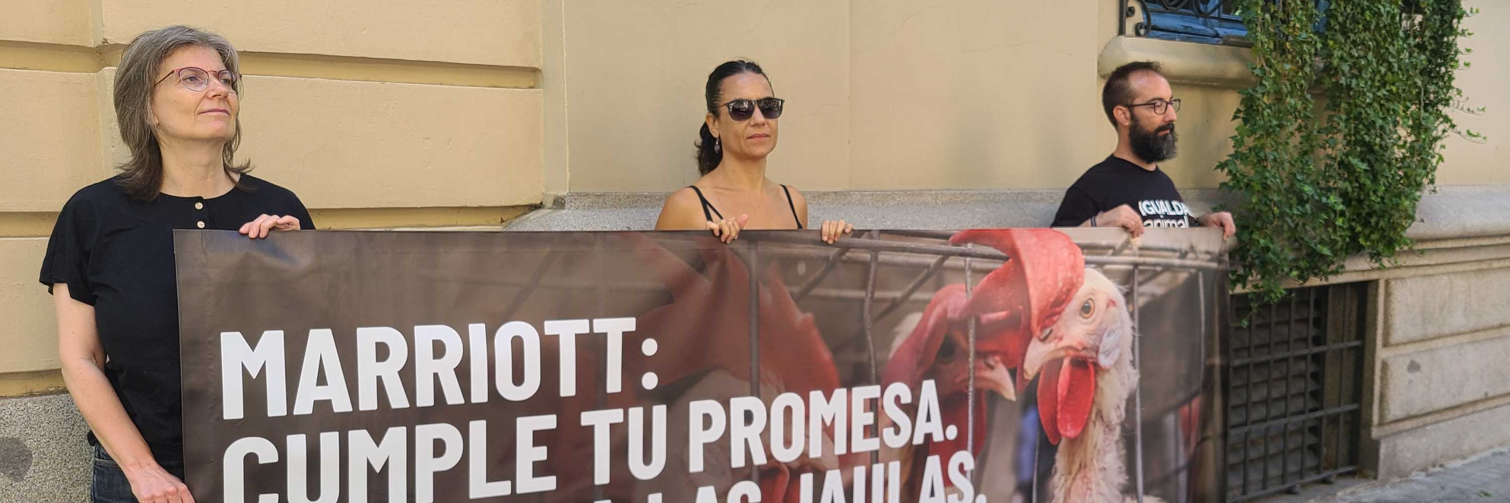 Activistas frente a Hoteles Marriot en Madrid.