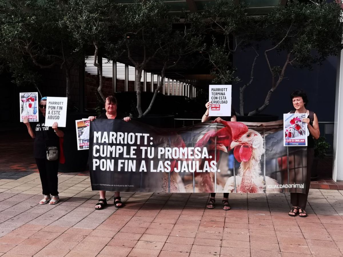 Activistas protestan frente a Hoteles Marriott.