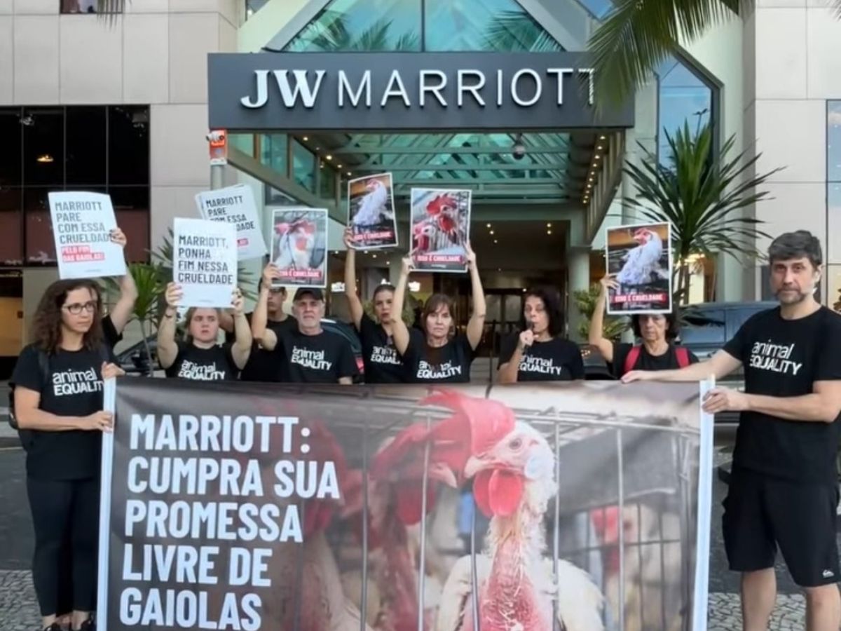 Activistas protestan frente a Hoteles Marriott.