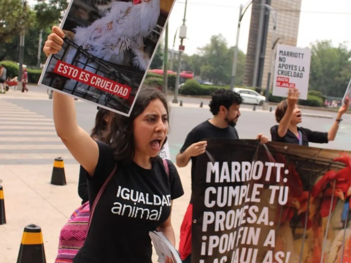 Activistas protestan frente a Hoteles Marriott.