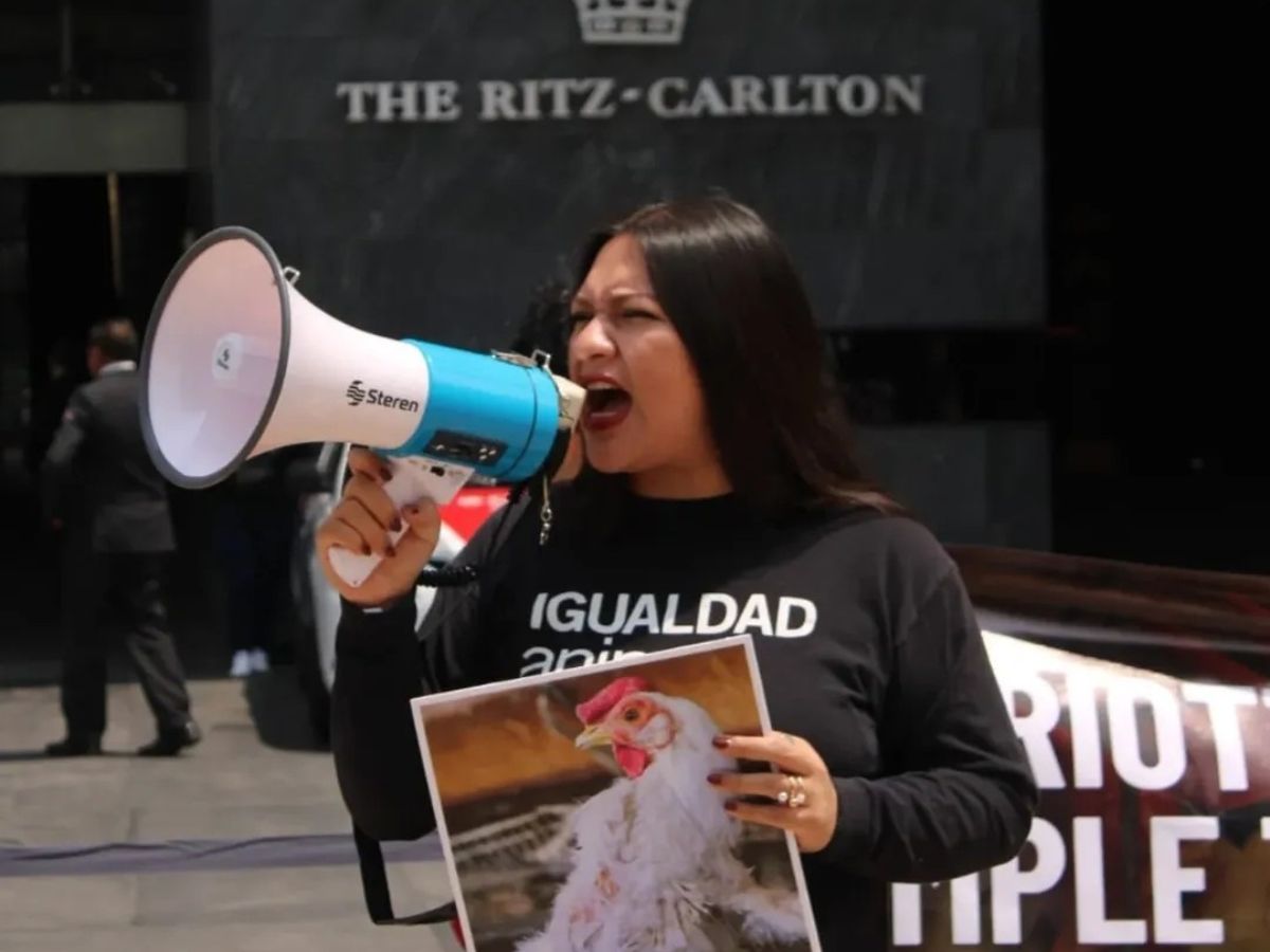 Activistas protestan frente al Hoteles Marriott.