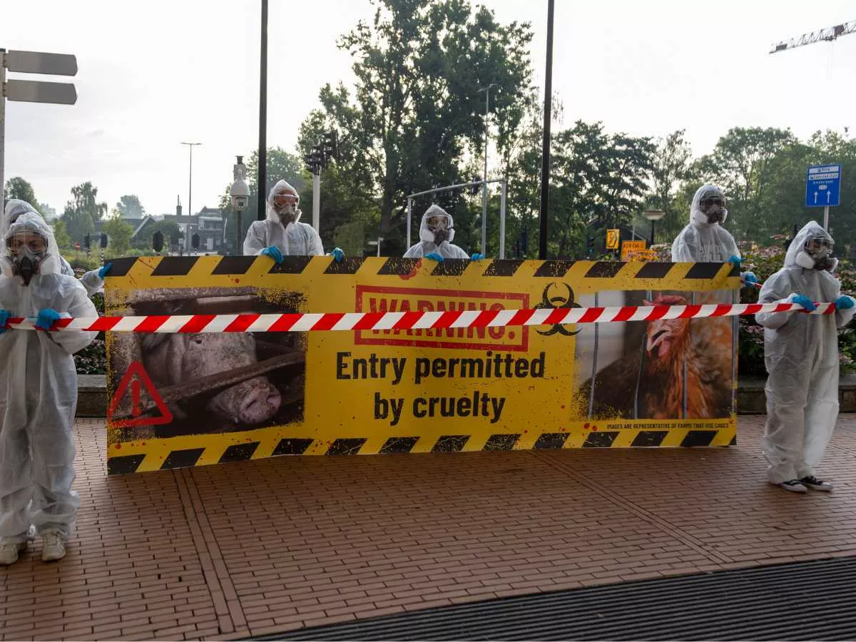 Activistas frente a la sede de Ahold Delhaize declaran el lugar como "zona contaminada"
